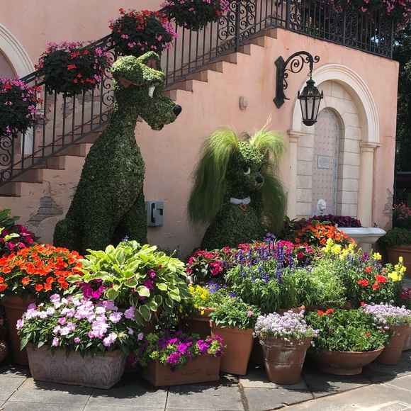 Meet your Posher, Cindy - Picture 15 of 15